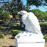 Confederate Park eagle.JPG (234095 bytes)