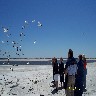 Cowarts feed seagulls, Kennedy on horizon.JPG (523670 bytes)