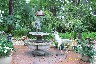 Secluded fountain in Sandy's Garden .JPG (1510987 bytes)