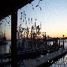 Shrimpboats at sunset.JPG (734921 bytes)