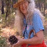 Ginny Finds A Pine Cone.jpg (305414 bytes)